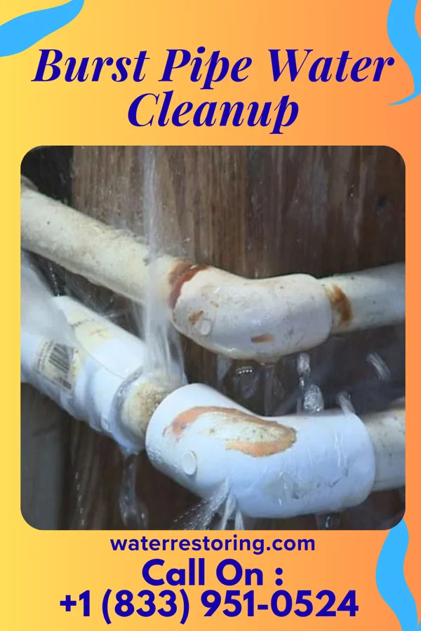 Burst Pipe Water Cleanup in Mountain Home AFB, ID