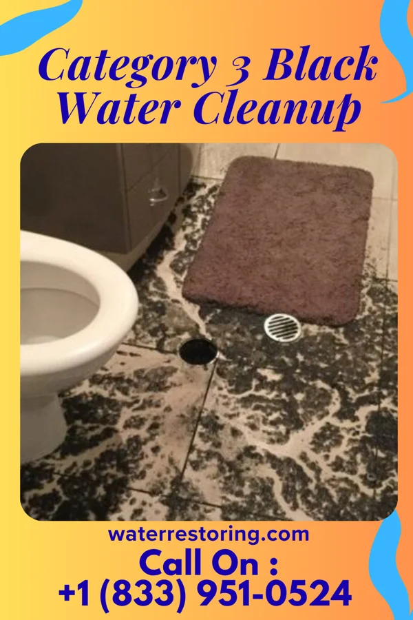 Category 3 Black Water Cleanup in Mountain Home AFB, ID